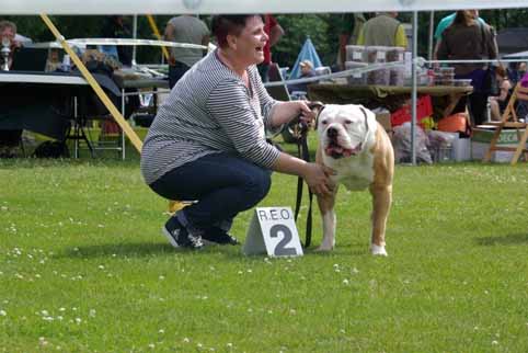 Zomershow 15 juni 2013 